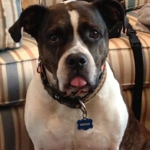 Meet your Posher, Jonathan